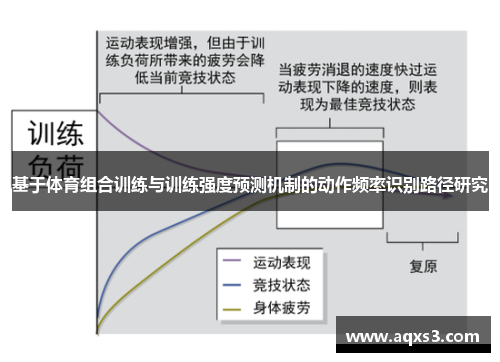 基于体育组合训练与训练强度预测机制的动作频率识别路径研究